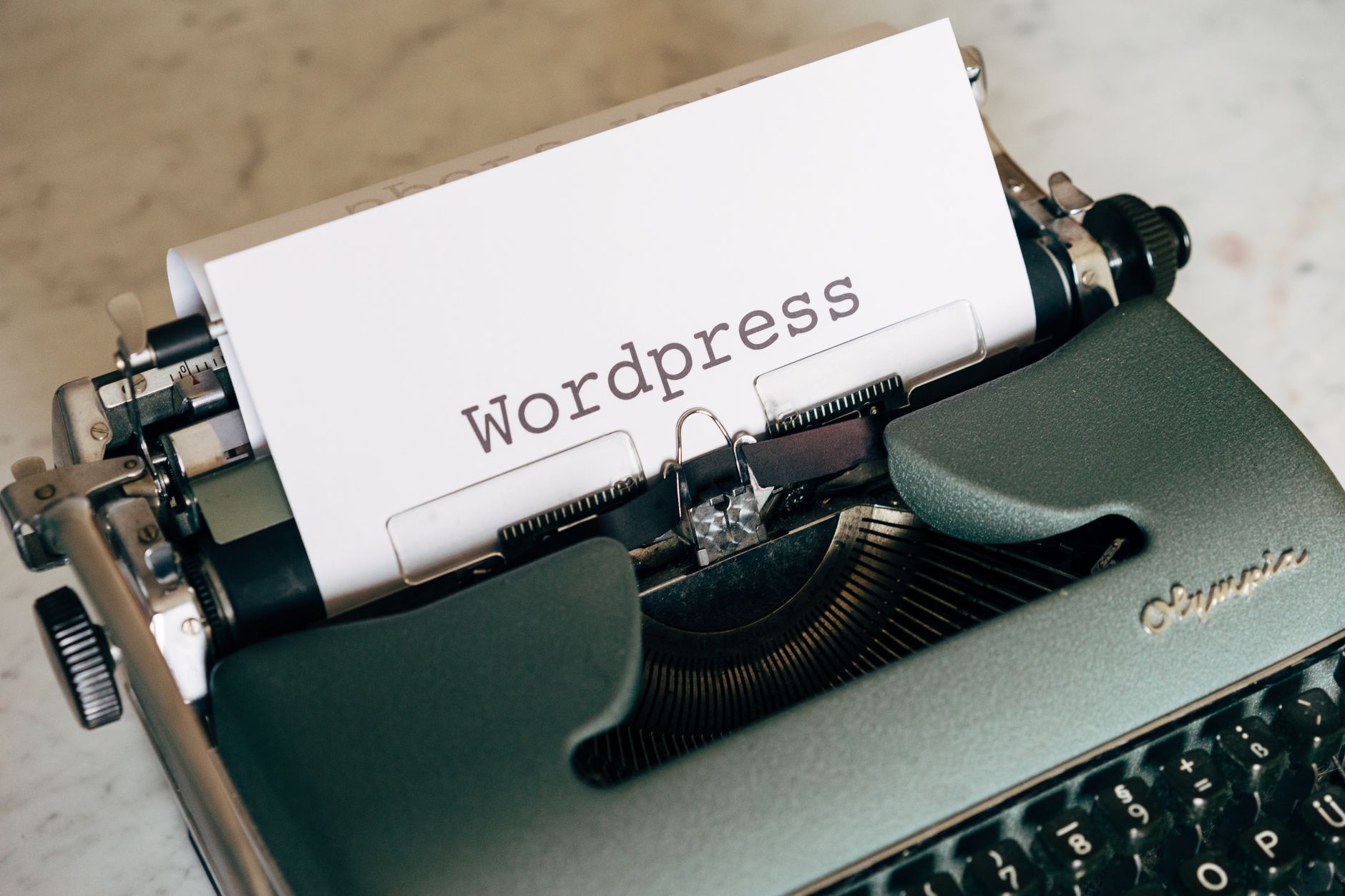 wordpress website dashboard business owner